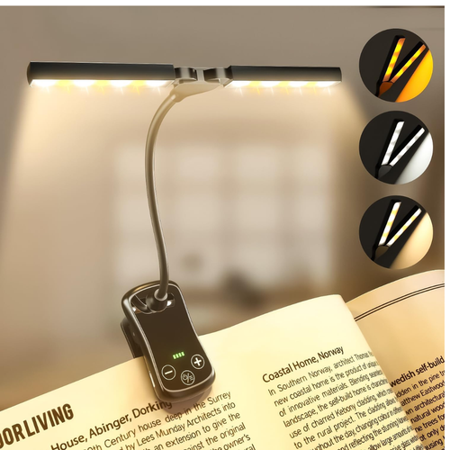 Luz de Lectura Portátil